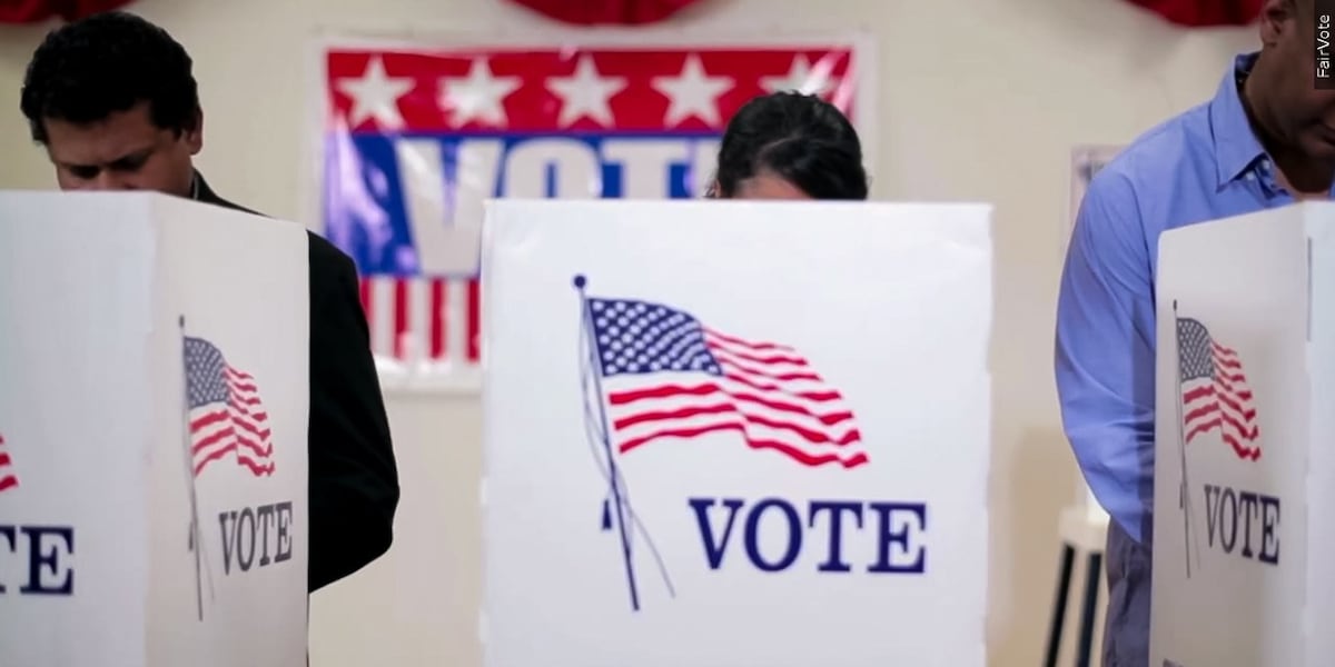 MDOS releases 2024 presidential election data