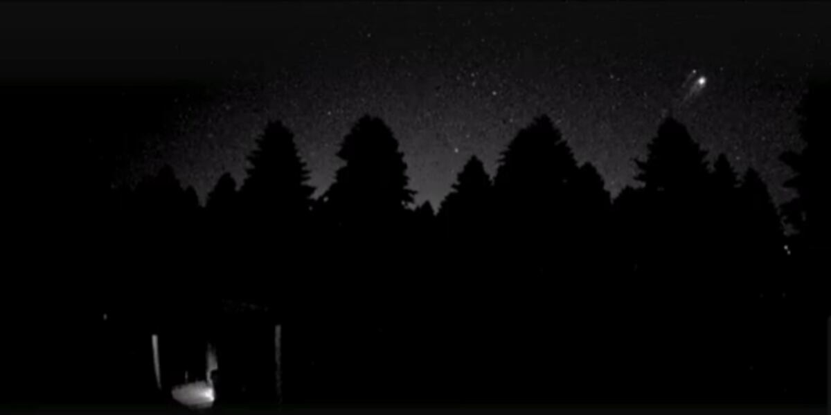 Tab background
