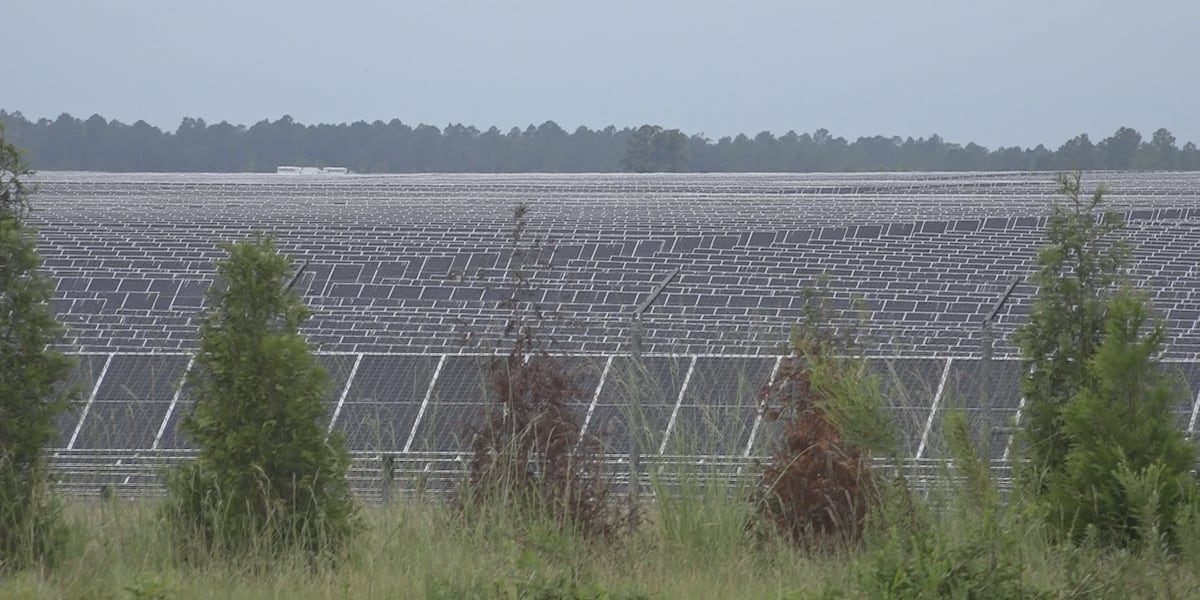 Rural residents say they are fed up with crop farms turning into solar ...