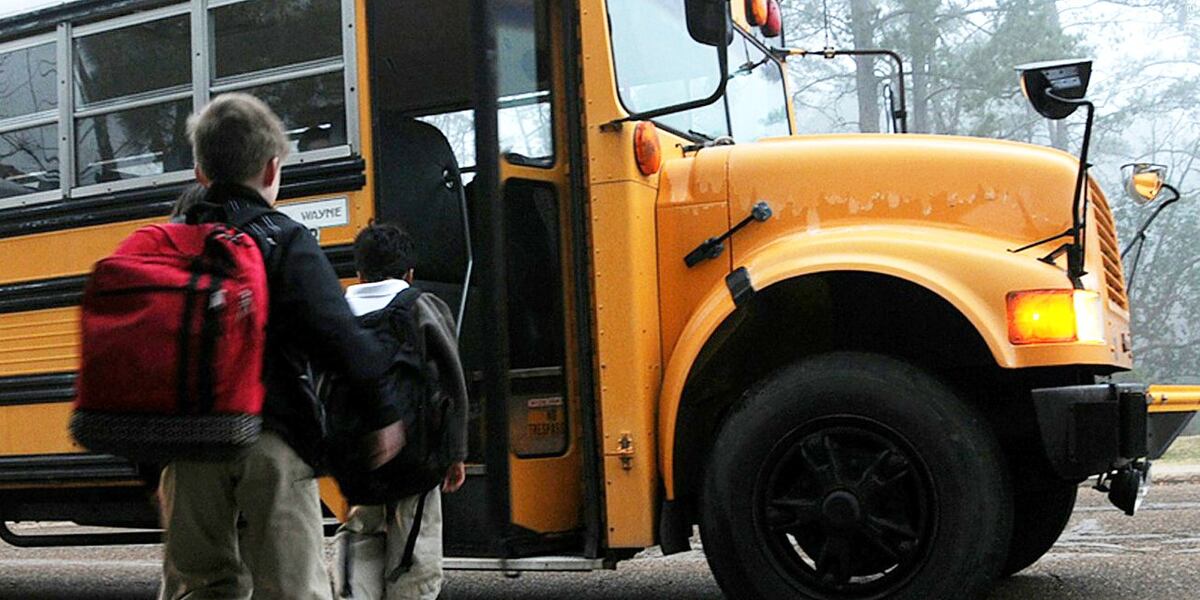 Michagan Bus Michigan receives nearly $24M for electric school buses