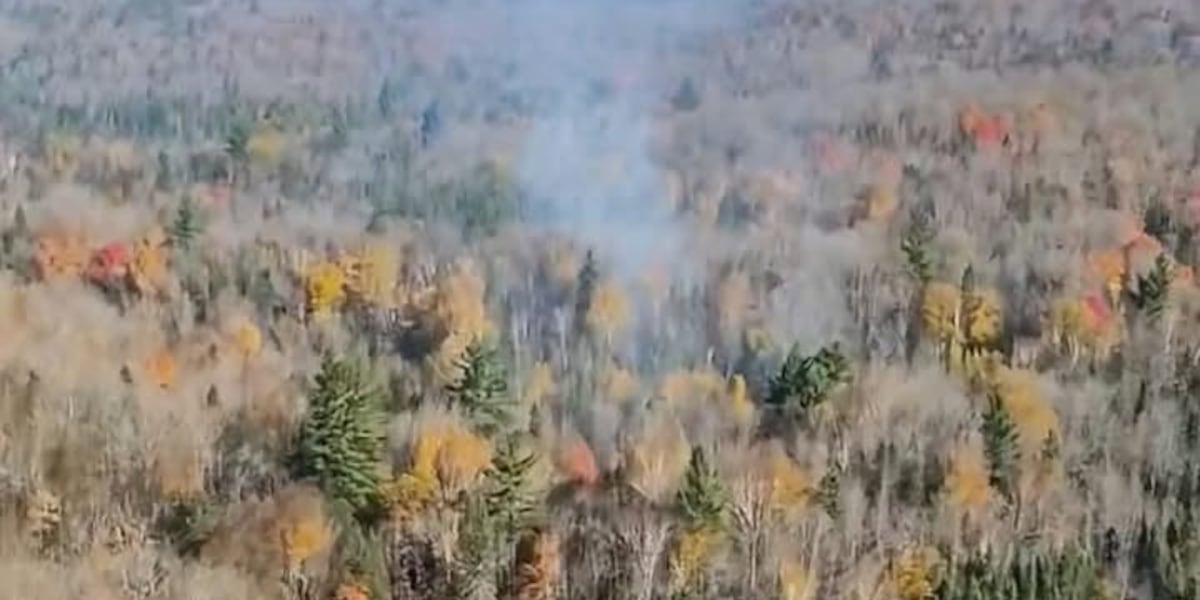 Temporary flight restrictions imposed over Ridge and Craig Lake fires in Michigan