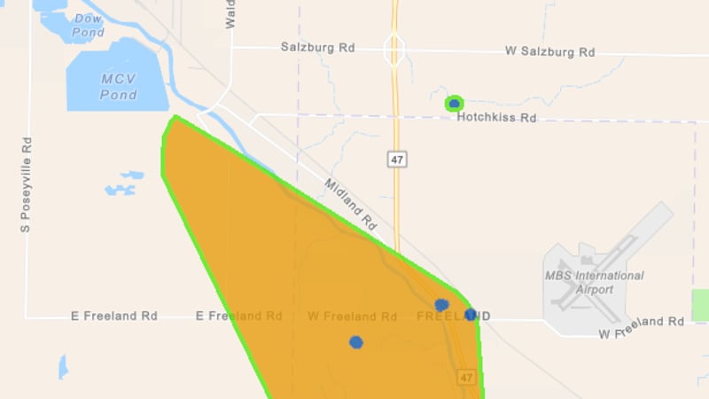 Consumers Energy is reporting a power outage in Freeland on Tuesday, June 9 following a...