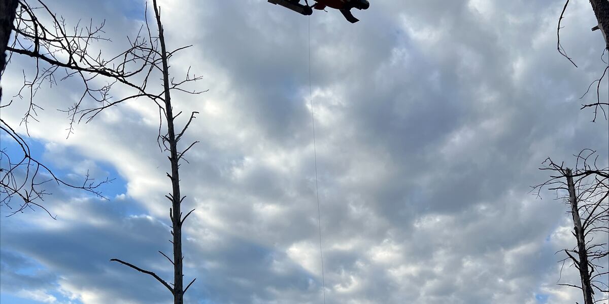 25 Foot Fall Man falls 25-feet out of tree stand, airlifted to hospital