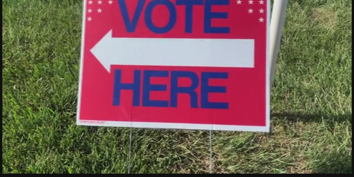 Mid-Michigan voters to decide on museum funding, public transit proposals Tuesday