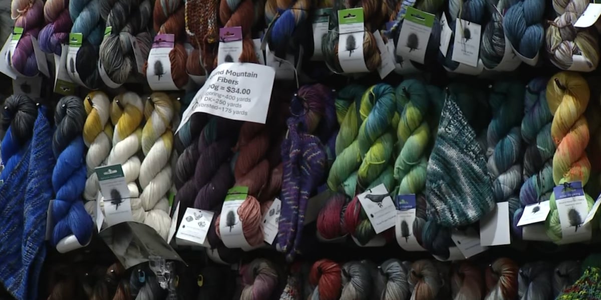 Yarn, Creativity and Community: Inside Back Alley Fibers in Caro