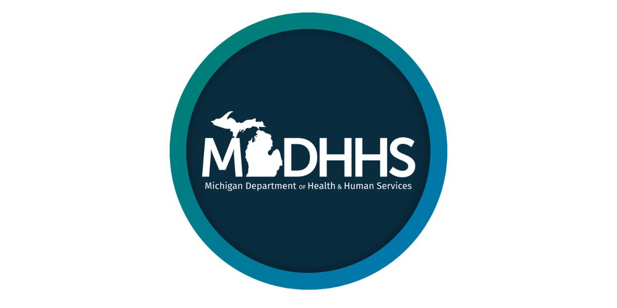 Application tracker added to MI Bridges website