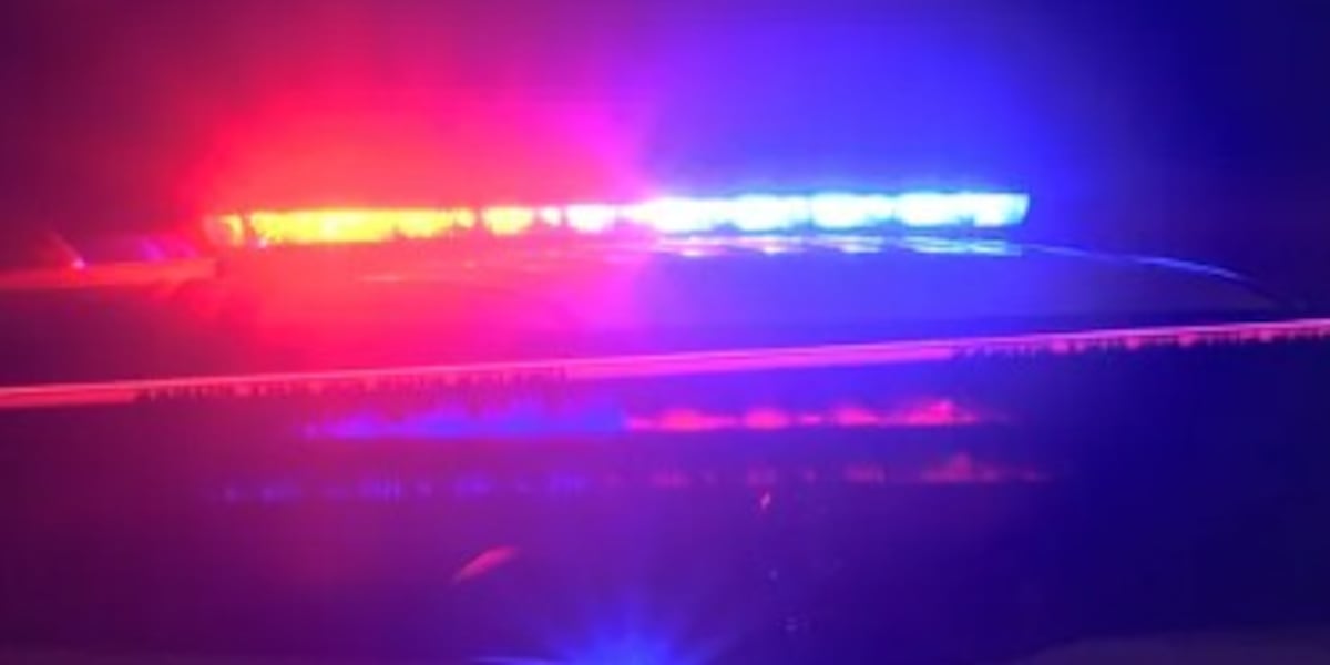 MSP arrest two Flint men for having drugs, loaded handguns during traffic stop