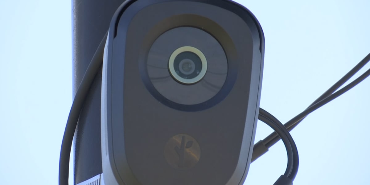 Michigan bill would limit Flock camera data storage, require warrants for access