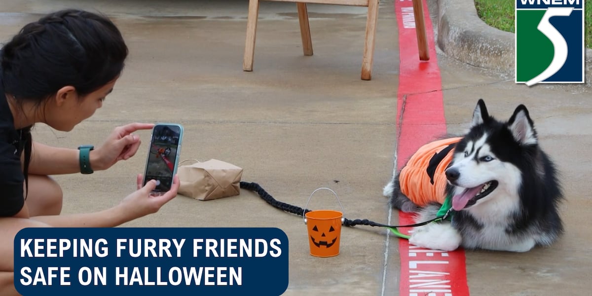MDARD shares pet safety tips this Halloween