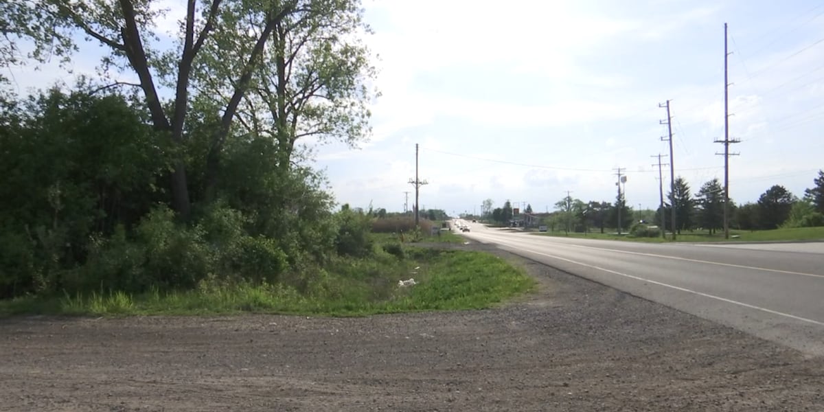 Plant-based drink manufacturer planning development in Fenton