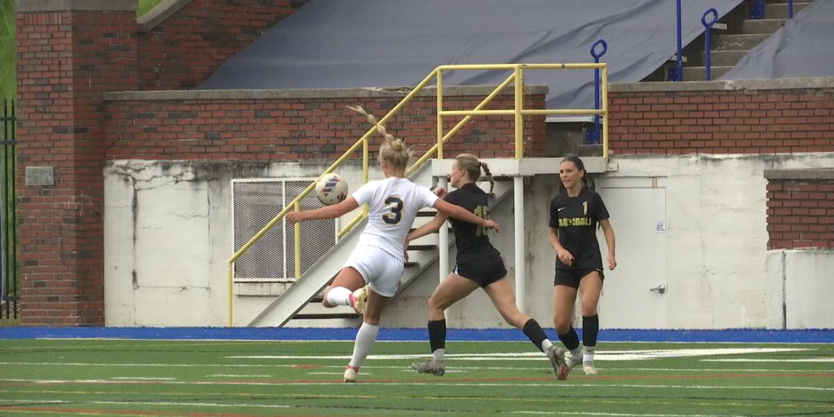 Davison falls to Hartland in the Vehicle City Soccer Classic
