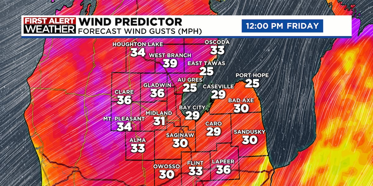 Windy Spring Friday 13th Warm & windy Friday, forecast trending drier