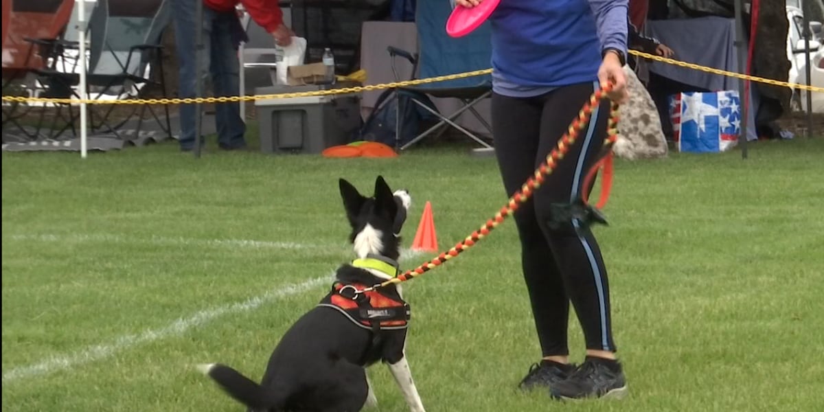 Four-legged friends flock to Frankenmuth for dog bowl