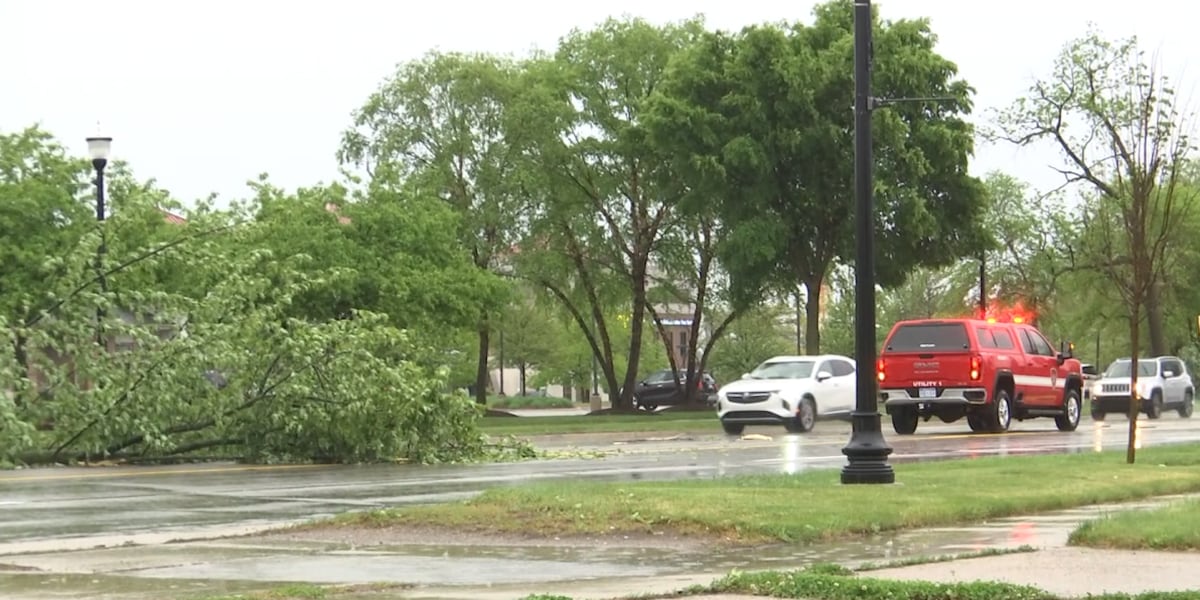 Cleanup efforts pick up across Mid-Michigan following storm damage