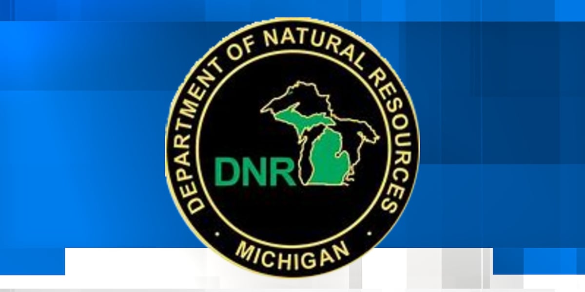 Are you disposing of storm debris properly?