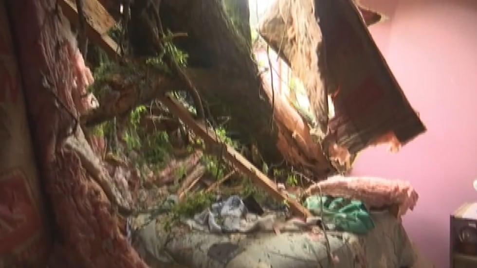 Tree crashes onto St. Charles woman's bed during severe storm.