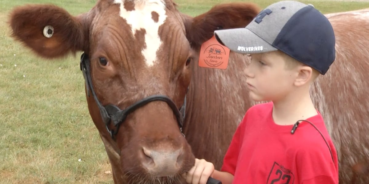 9-year-old auctions 4-H livestock to honor veteran father, raise funds for Mission 22