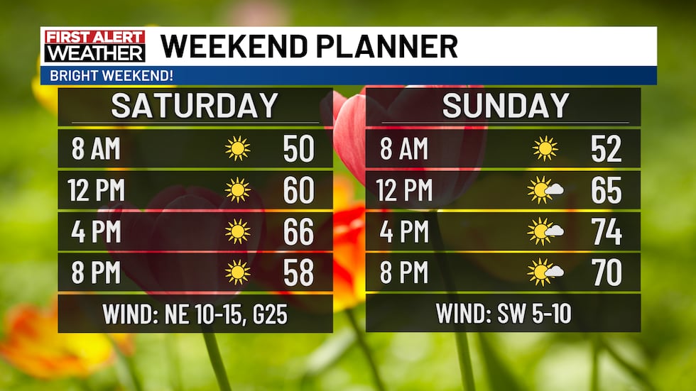 A nice, bright weekend!