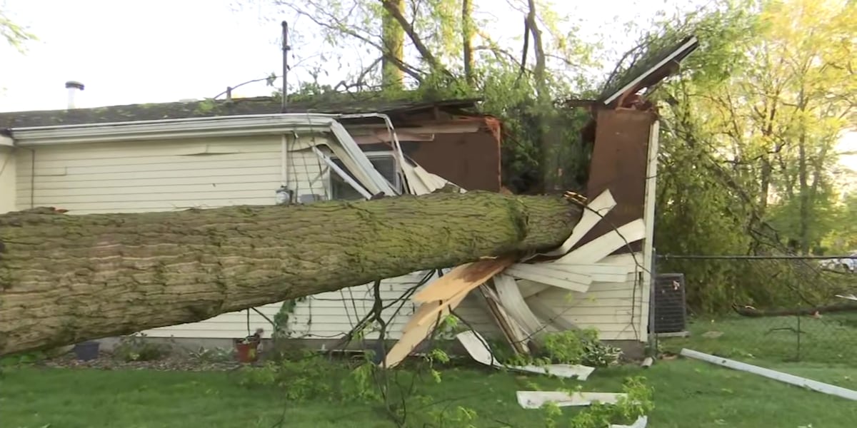 Exploding Trees Mi Trees crash into homes, power lines during severe mid-Michigan storms
