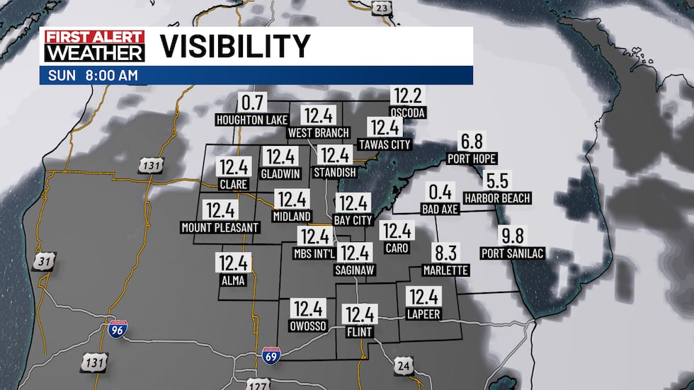 Sunny Weekend, Rain Returns Tuesday, Hot and Humid Late Week for Mid-Michigan