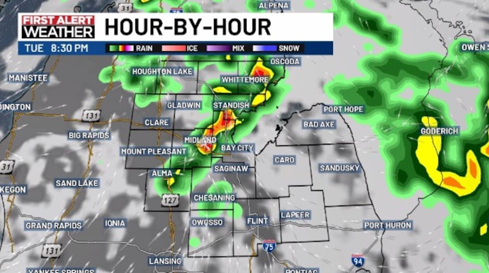 What the radar could look like at 8 PM Tuesday.