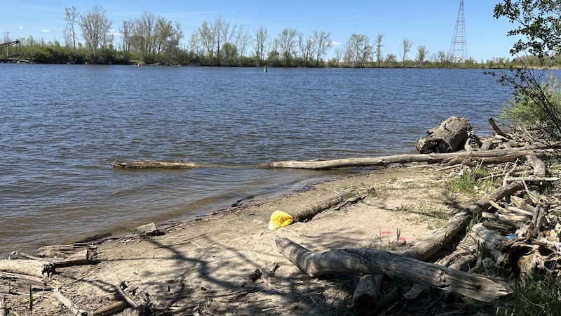 The Saginaw County Sheriff's Office said a body was found partially submerged in the Saginaw...