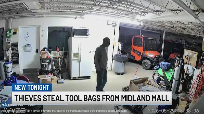 The Midland Mall is asking for help identifying two men accused of stealing tools.