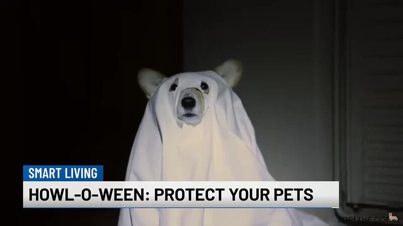 Halloween is a fun time of year for kids and adults. But all the decorations, costumes and...